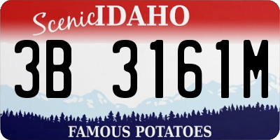 ID license plate 3B3161M