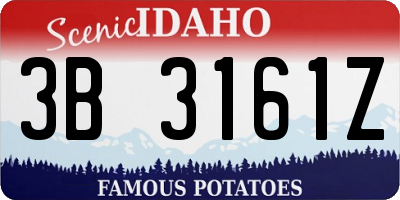 ID license plate 3B3161Z
