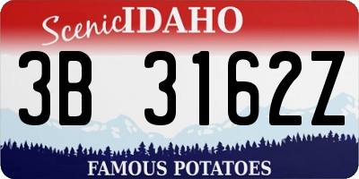 ID license plate 3B3162Z