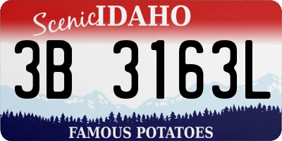 ID license plate 3B3163L