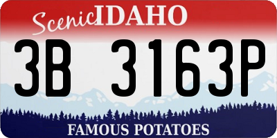ID license plate 3B3163P