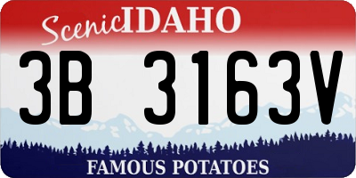ID license plate 3B3163V