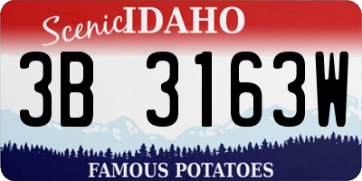 ID license plate 3B3163W