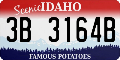 ID license plate 3B3164B