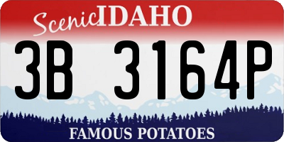 ID license plate 3B3164P
