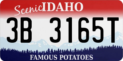 ID license plate 3B3165T