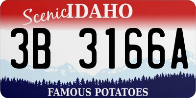 ID license plate 3B3166A