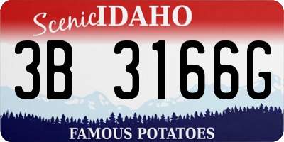 ID license plate 3B3166G