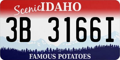 ID license plate 3B3166I