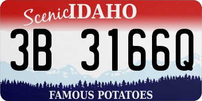 ID license plate 3B3166Q