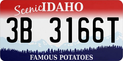ID license plate 3B3166T