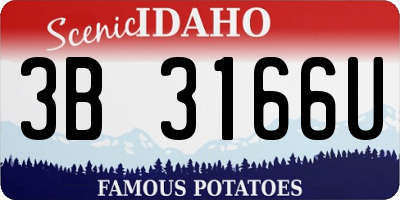 ID license plate 3B3166U