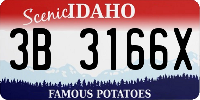 ID license plate 3B3166X