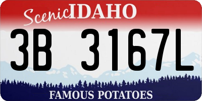 ID license plate 3B3167L