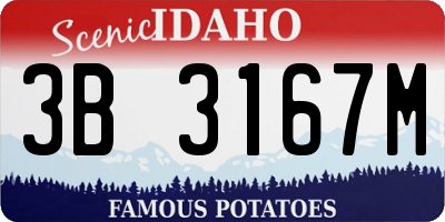 ID license plate 3B3167M