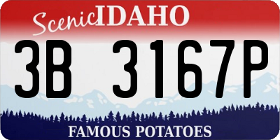 ID license plate 3B3167P