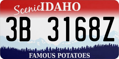 ID license plate 3B3168Z