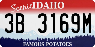 ID license plate 3B3169M