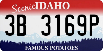 ID license plate 3B3169P
