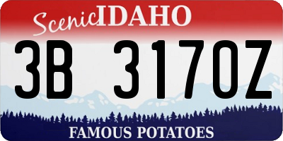 ID license plate 3B3170Z