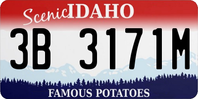 ID license plate 3B3171M