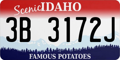 ID license plate 3B3172J