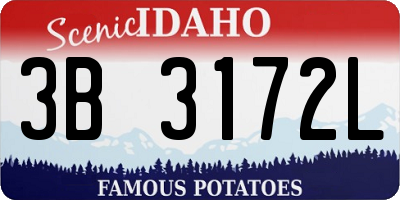 ID license plate 3B3172L