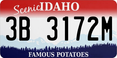 ID license plate 3B3172M