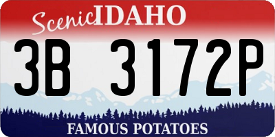 ID license plate 3B3172P