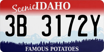 ID license plate 3B3172Y