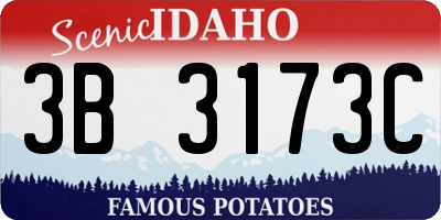 ID license plate 3B3173C