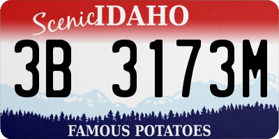 ID license plate 3B3173M