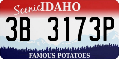 ID license plate 3B3173P