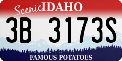 ID license plate 3B3173S
