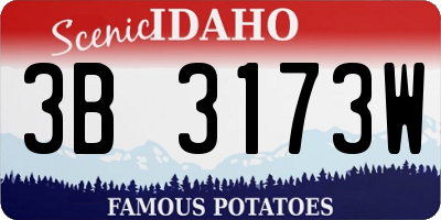 ID license plate 3B3173W