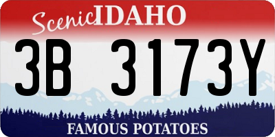 ID license plate 3B3173Y