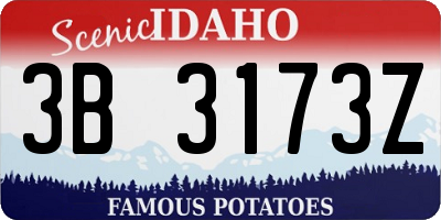 ID license plate 3B3173Z