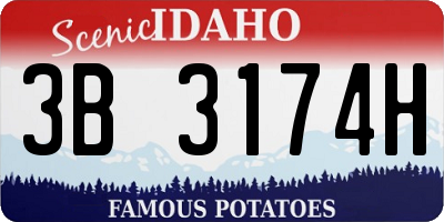 ID license plate 3B3174H