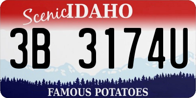 ID license plate 3B3174U