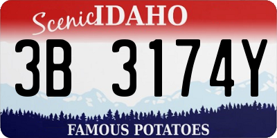 ID license plate 3B3174Y