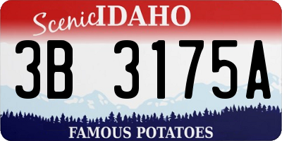 ID license plate 3B3175A