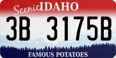 ID license plate 3B3175B