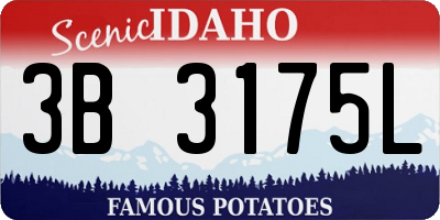 ID license plate 3B3175L