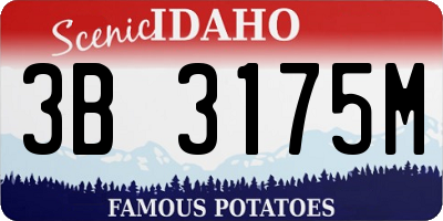 ID license plate 3B3175M