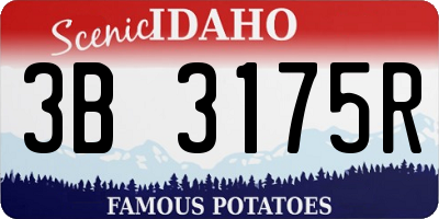ID license plate 3B3175R