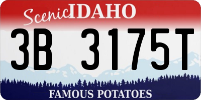 ID license plate 3B3175T