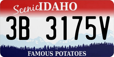 ID license plate 3B3175V