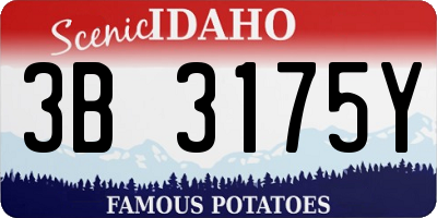 ID license plate 3B3175Y