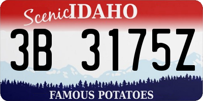 ID license plate 3B3175Z
