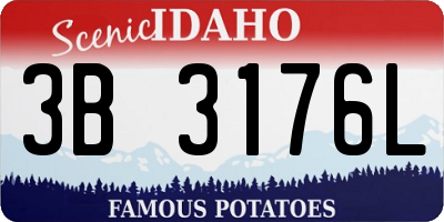 ID license plate 3B3176L
